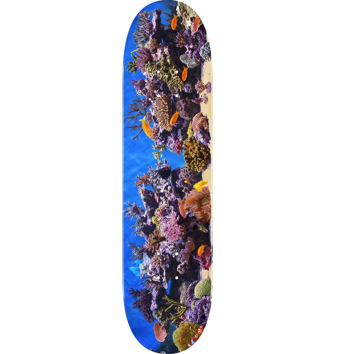 Mini Logo Fish Tank ″18″ Skateboard Deck 242 - 8.0″