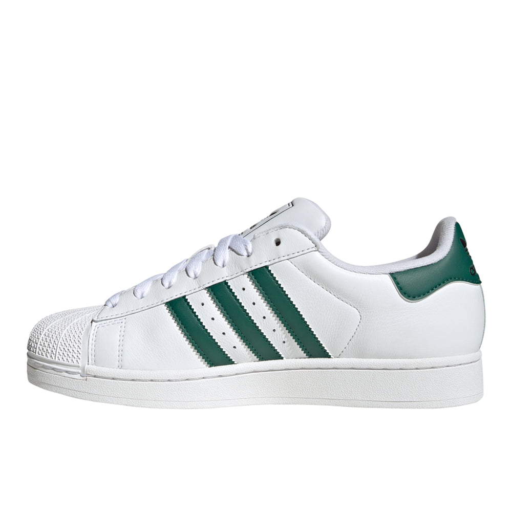Superstar II Lace Up Sneakers