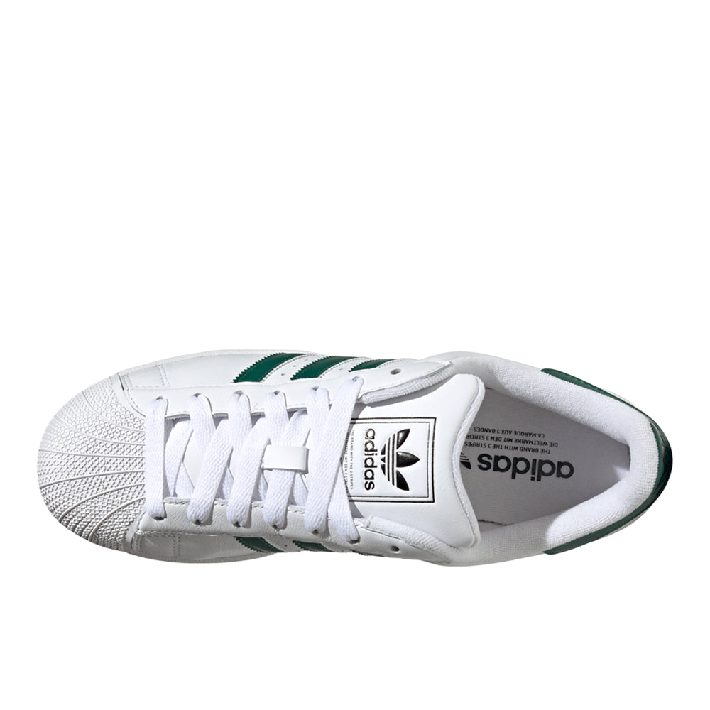 Superstar II Lace Up Sneakers